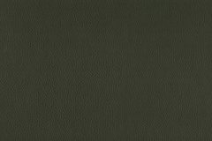 Contemporary leather material swatch colour Forest Green