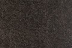 Contemporary leather material swatch colour Graphite