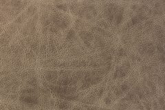 Contemporary leather material swatch colour Latte