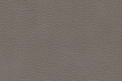 Contemporary leather material swatch colour Moorland