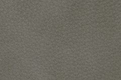Contemporary leather material swatch colour Mountain Moss