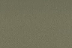 Contemporary leather material swatch colour Sage