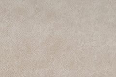 Contemporary leather material swatch colour Sandstone