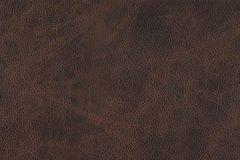 Contemporary leather material swatch colour Truffle