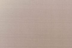 Silk fabric material swatch colour Champagne