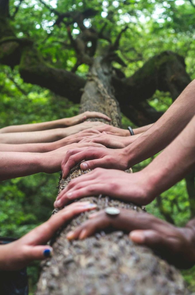Lots of hands on a tree trunk